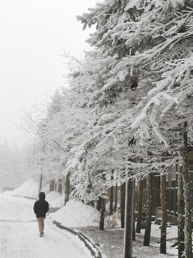 Gorgeous House For Ski Retreat Or Mountain Vacations Snowshoe Kültér fotó